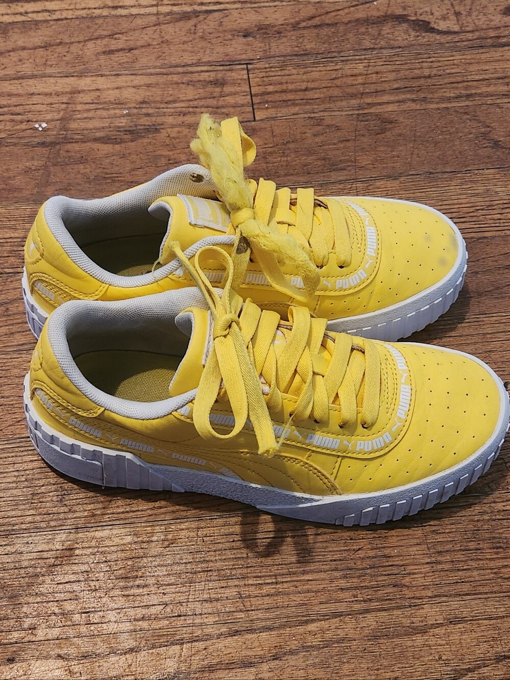 Puma - Picture 3 of 7